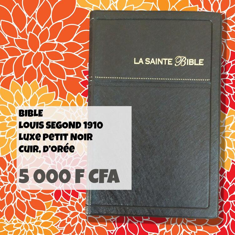 LS 1910 cuir