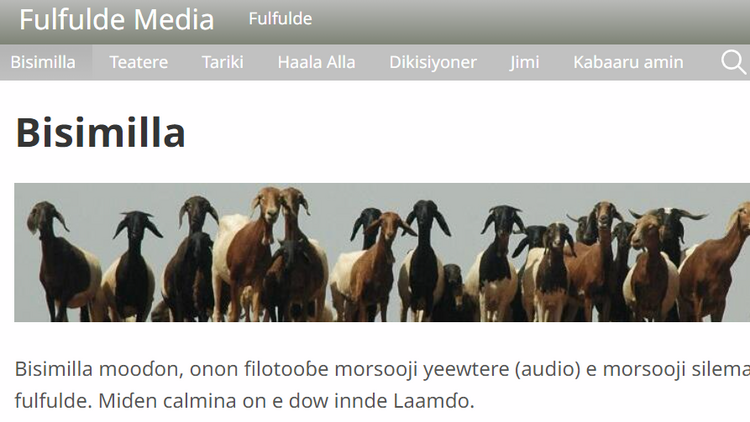 fulfuldemedia.com