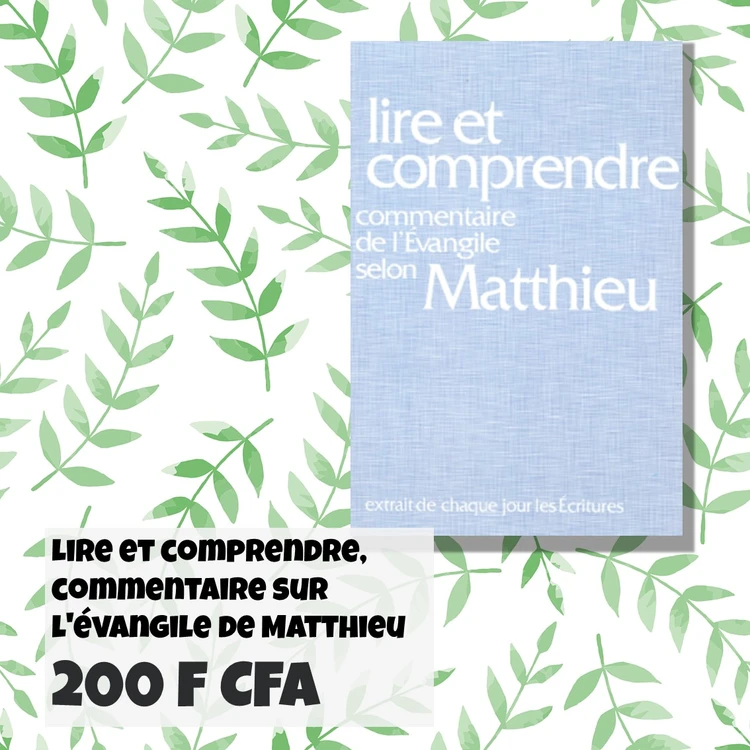 FRA Lire et comprendre Matthieu