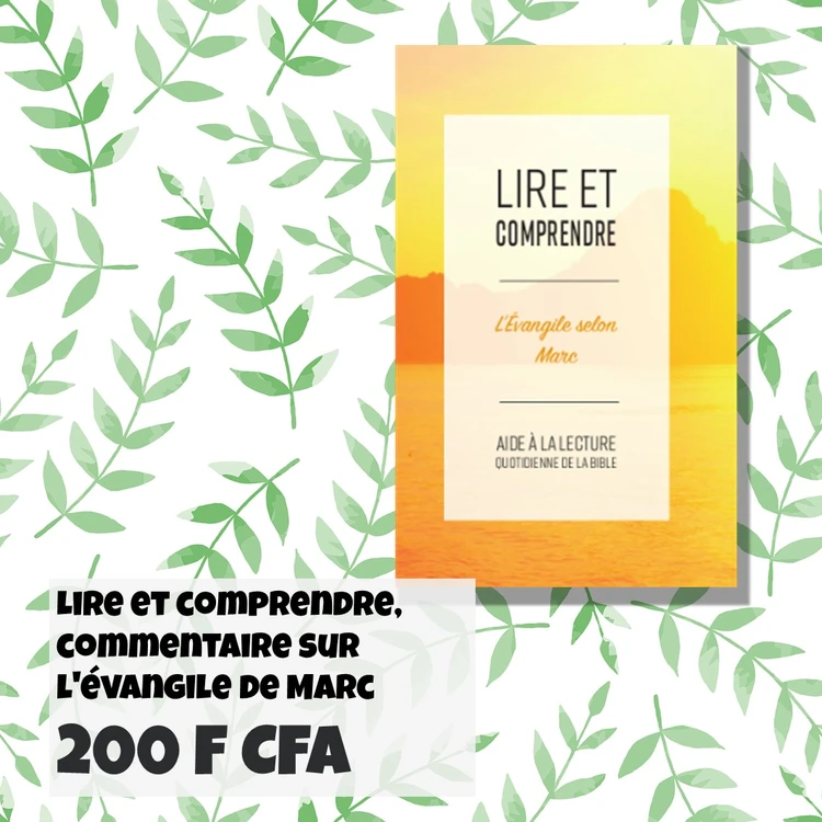 FRA Lire et comprendre Marc