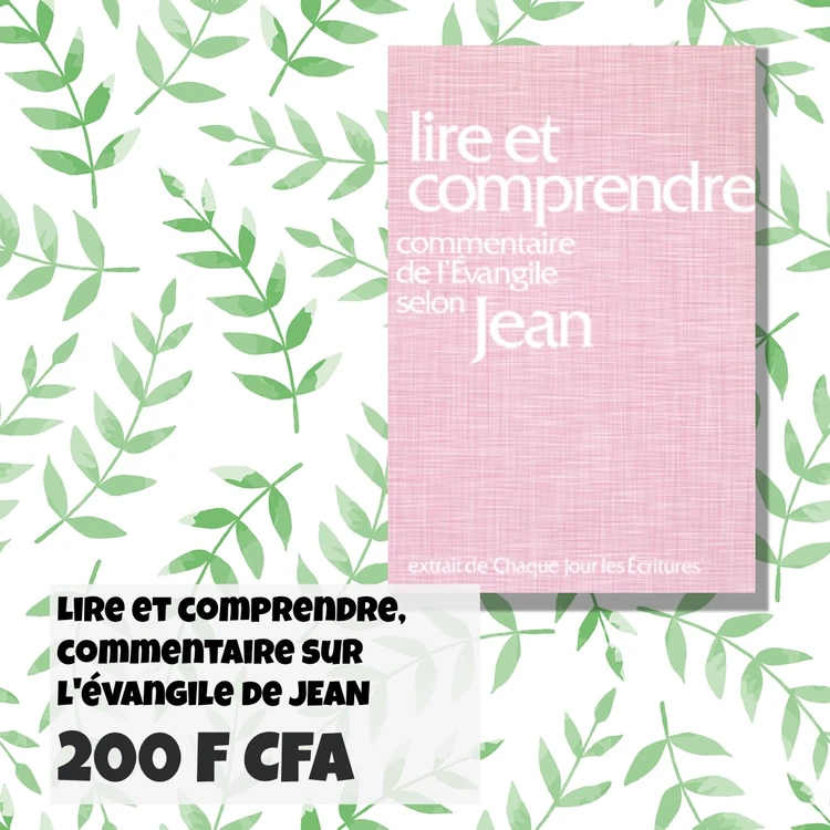 FRA Lire et comprendre Jean 