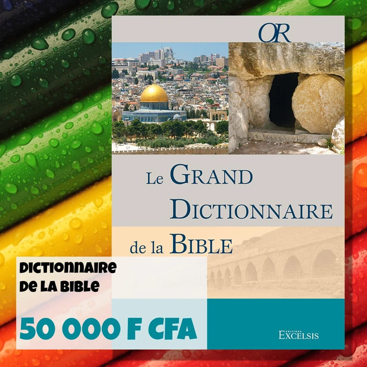 FRA LUM Le grand dictionnaire de la Bible