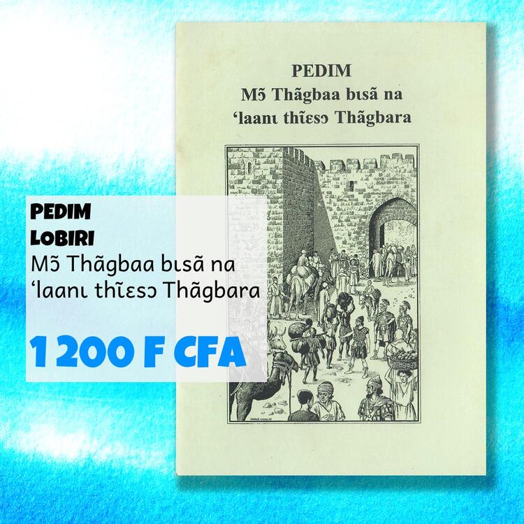 LOB - PEDIM 1 - pub