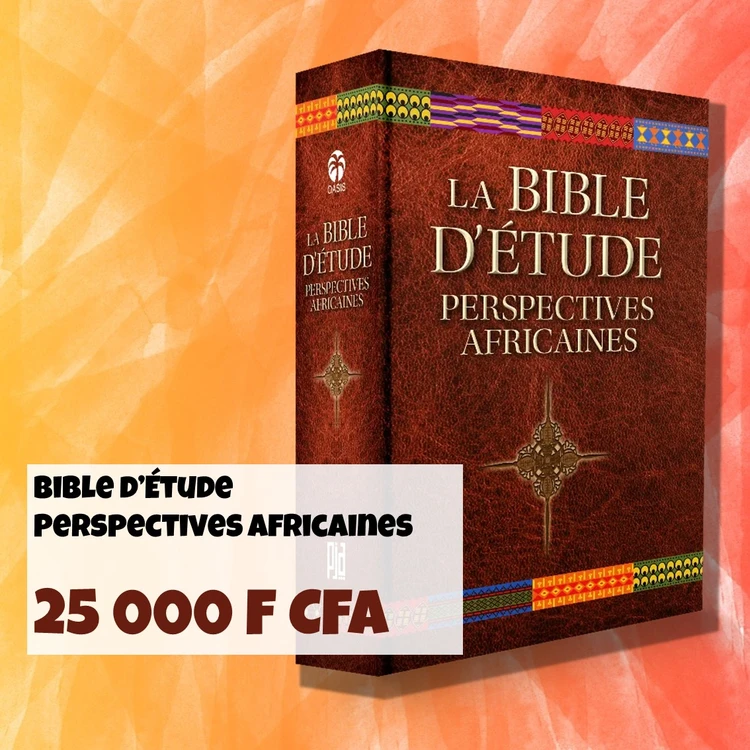 FRA ABBF étude La Bible dètude africaine 