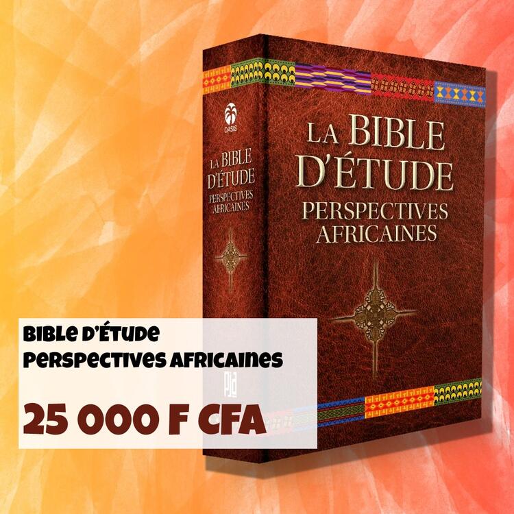 FRA ABBF étude La Bible dètude africaine 